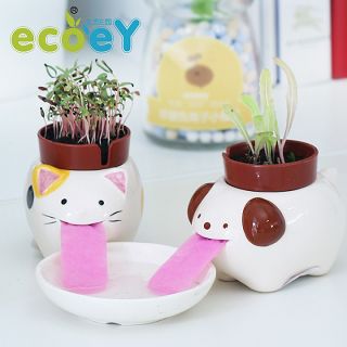 家居生活小用品 創(chuàng)意實(shí)用韓國(guó)女生日用品懶人新奇特洗漱自拍百貨